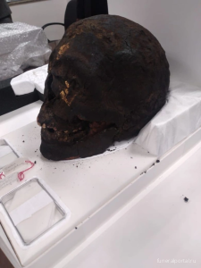 Египет вернул из Великобритании и Германии череп мумии и амулеты - Похоронный портал Египет вернул из Великобритании и Германии череп мумии и амулеты - Похоронный портал