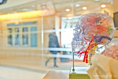 В Великобритании протестируют мозговой имплантат для лечения депрессии В Великобритании протестируют мозговой имплантат для лечения депрессии