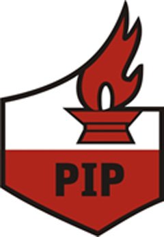 PIP.jpg
